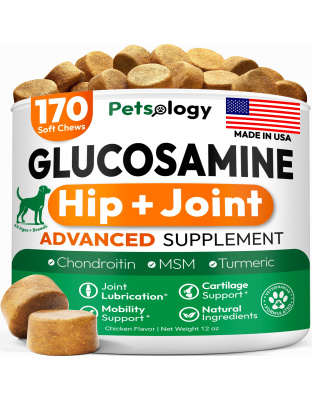 Glucosamine for Dogs Hip and Joint Supplement for Dogs 170 Mobility Chews Glucosamine Chondroitin MSM Turmeric Joint Pain Relief Advanced Support for Dog Health Made in USA