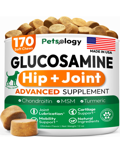 Glucosamine for Dogs Hip and Joint Supplement for Dogs 170 Mobility Chews Glucosamine Chondroitin MSM Turmeric Joint Pain Relief Advanced Support for Dog Health Made in USA
