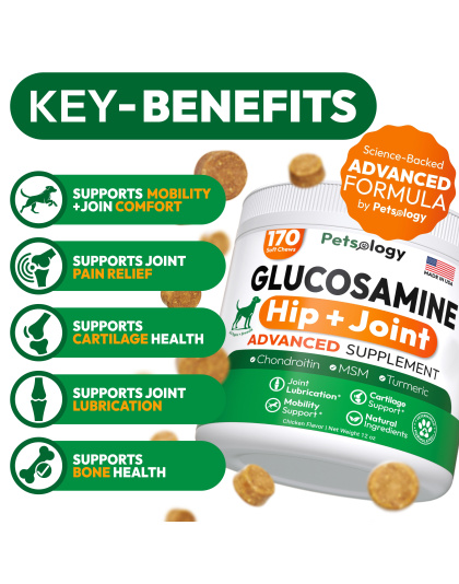 Glucosamine for Dogs Hip and Joint Supplement for Dogs 170 Mobility Chews Glucosamine Chondroitin MSM Turmeric Joint Pain Relief Advanced Support for Dog Health Made in USA