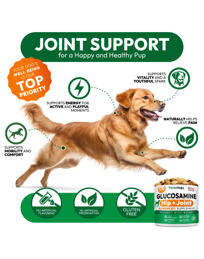 Glucosamine for Dogs Hip and Joint Supplement for Dogs 170 Mobility Chews Glucosamine Chondroitin MSM Turmeric Joint Pain Relief Advanced Support for Dog Health Made in USA