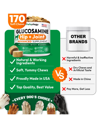 Glucosamine for Dogs Hip and Joint Supplement for Dogs 170 Mobility Chews Glucosamine Chondroitin MSM Turmeric Joint Pain Relief Advanced Support for Dog Health Made in USA