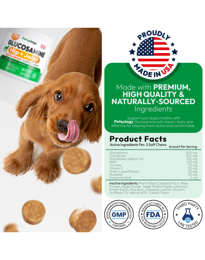 Glucosamine for Dogs Hip and Joint Supplement for Dogs 170 Mobility Chews Glucosamine Chondroitin MSM Turmeric Joint Pain Relief Advanced Support for Dog Health Made in USA