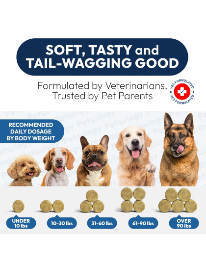 Omega 3 Fish Oil for Dogs 170 Chews Omega 3 for Dogs Itchy Skin & Allergy Relief Skin & Coat Supplement EPA & DHA Fatty Acids Dog Anti Shedding & Hot Spot Treatment Salmon Oil