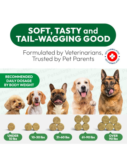 Dog Allergy Relief Chews 170 Dog Allergy Chews Itch Relief for Dogs Omega 3 Fish Oil Probiotics For Itchy Skin & Hot Spots Allergies Paw Licking Dry Skin & Coat Supplement Immune Health