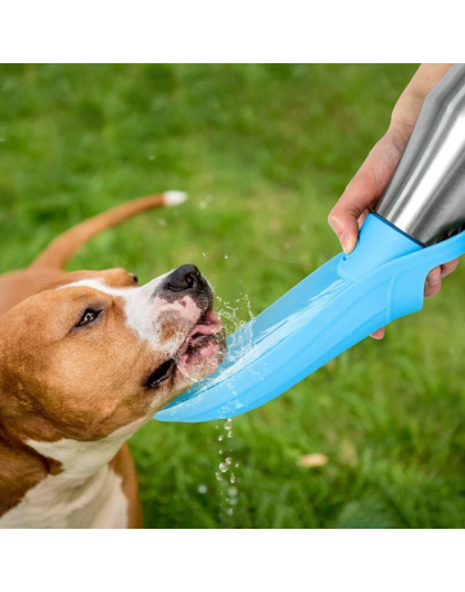 Portable Folding Pet Water Bottle for Outdoor Trip