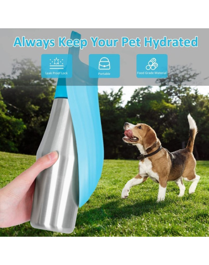 Portable Folding Pet Water Bottle for Outdoor Trip