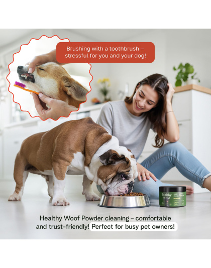 Healthy Woof Dental Powder for Dogs - Complete Oral Care Bone Broth, Dog Teeth Cleaning Powder, Tartar Remover, Fresh Breath, Sensitive Stomach Support, No Brush Dental Care, 4.2 oz, 60 Scoops