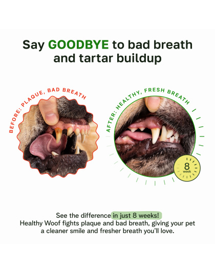 Healthy Woof Dental Powder for Dogs - Complete Oral Care Bone Broth, Dog Teeth Cleaning Powder, Tartar Remover, Fresh Breath, Sensitive Stomach Support, No Brush Dental Care, 4.2 oz, 60 Scoops