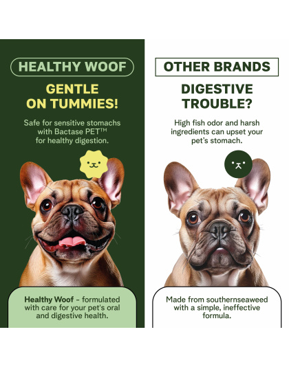 Healthy Woof Dental Powder for Dogs - Complete Oral Care Bone Broth, Dog Teeth Cleaning Powder, Tartar Remover, Fresh Breath, Sensitive Stomach Support, No Brush Dental Care, 4.2 oz, 60 Scoops